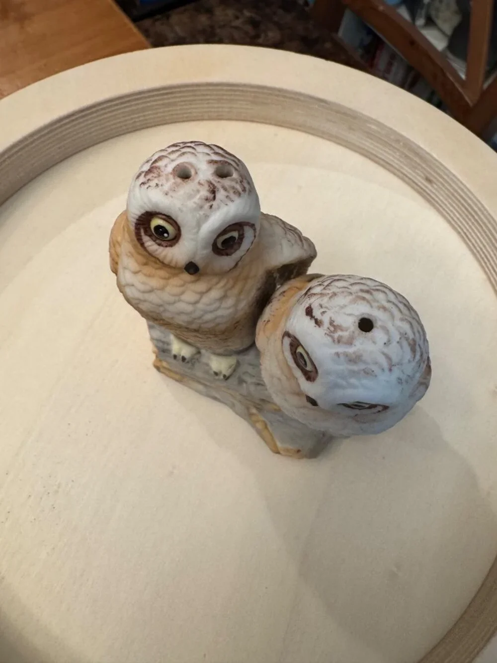 Vintage Porcelain Barn Owl Salt & Pepper Shakers